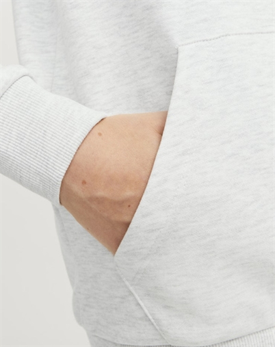 JJECALEB VARSITY SWEAT HOOD NO